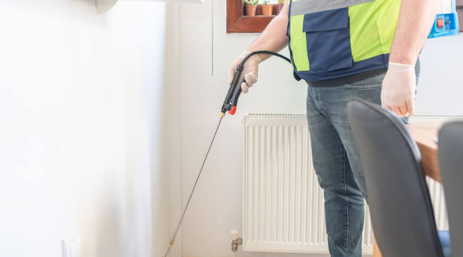 Professional Pest Control in Rowley services in Rowley